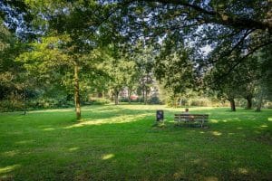 Engelenburg, Haarlem, Nederland