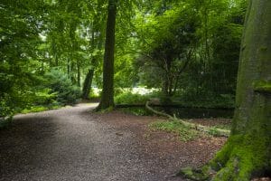 Lippe Biesterfeldstraat, Arnhem, Nederland