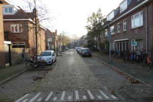 Lepelaarstraat, Utrecht, Nederland