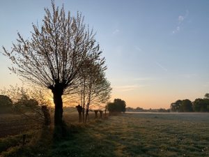 Rijksweg, Ederveen, Nederland